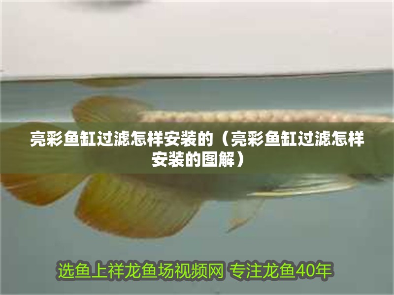 魚缸過(guò)濾器選購(gòu)指南:自制魚缸過(guò)濾器魚缸上置過(guò)濾器對(duì)于養(yǎng)魚愛好者的必備知識(shí) 亮彩魚缸過(guò)濾怎樣安裝的(亮彩魚缸過(guò)濾怎樣安裝的圖解) 觀賞魚百科 亮彩魚缸過(guò)濾怎樣安裝的(亮彩魚缸過(guò)濾怎樣安裝的圖解) 亮彩魚缸過(guò)濾怎樣安裝的(亮彩魚缸過(guò)濾怎樣安裝的圖解) 觀賞魚百科