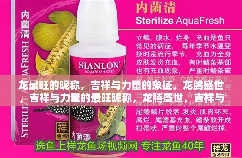 龍最旺的昵稱，吉祥與力量的象征，龍騰盛世，吉祥與力量的最旺昵稱，龍騰盛世，吉祥與力量的最旺昵稱