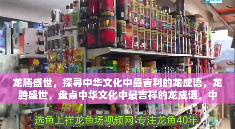 龍騰盛世，探尋中華文化中最吉利的龍成語，龍騰盛世，盤點中華文化中最吉祥的龍成語，中華文化中最吉祥的龍成語盤點