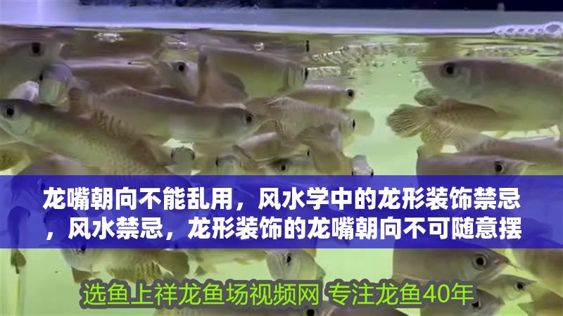 龍嘴朝向不能亂用，風水學中的龍形裝飾禁忌，風水禁忌，龍形裝飾的龍嘴朝向不可隨意擺放，風水禁忌，龍形裝飾中龍嘴朝向的講究與禁忌