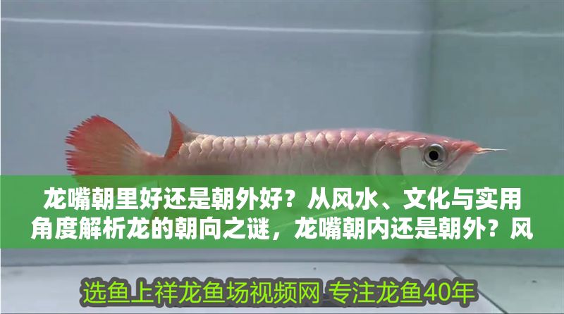 龍嘴朝里好還是朝外好？從風水、文化與實用角度解析龍的朝向之謎，龍嘴朝內還是朝外？風水、文化與實用三方面解析最佳朝向