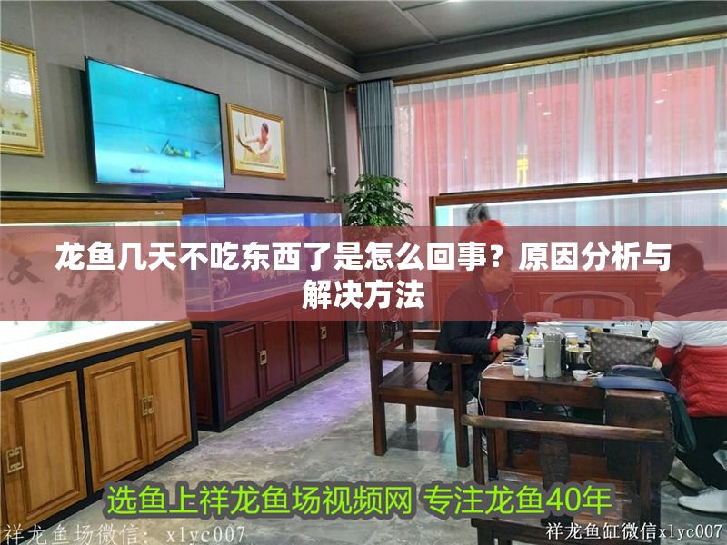 龍魚幾天不吃東西了是怎么回事？原因分析與解決方法