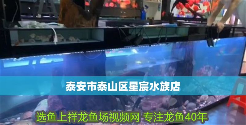 <strong><mark>泰安</mark></strong>市泰山區(qū)星宸水族店