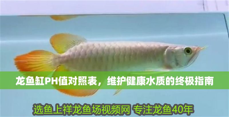龍魚缸PH值對(duì)照表，維護(hù)健康水質(zhì)的終極指南 龍魚缸PH值對(duì)照表，維護(hù)健康水質(zhì)的終極指南 龍魚百科 第1張