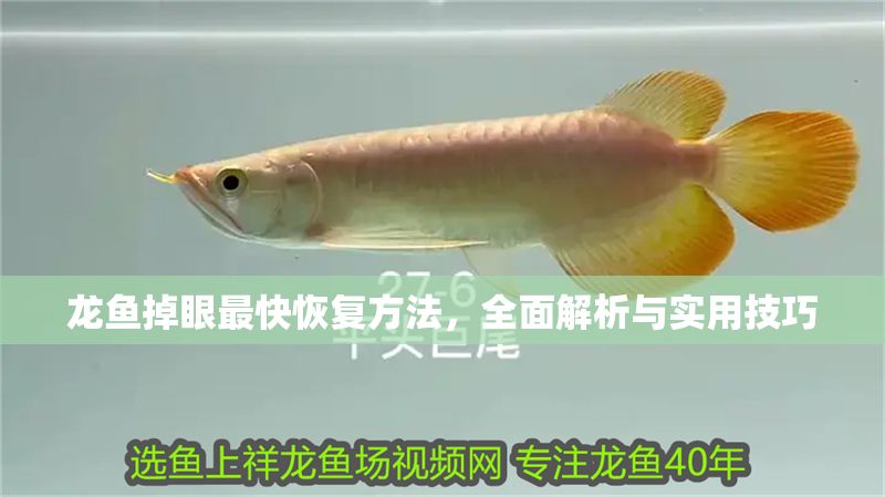 龍魚掉眼最快恢復方法，全面解析與實用技巧