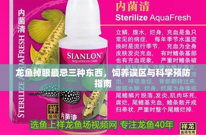 龍魚掉眼最忌三種東西，飼養誤區與科學預防指南