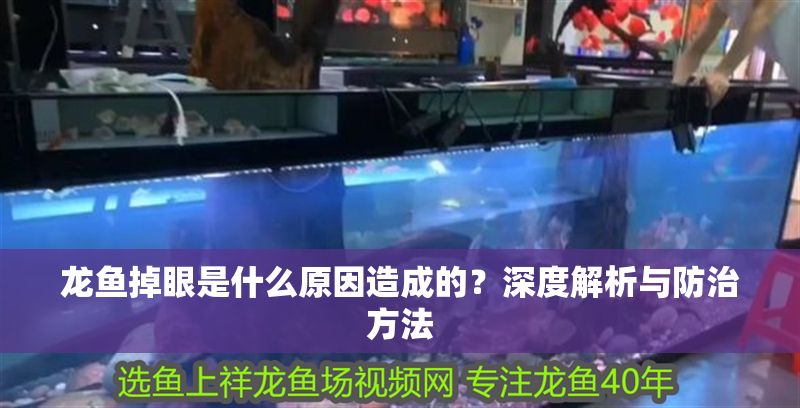 龍魚掉眼是什么原因造成的？深度解析與防治方法