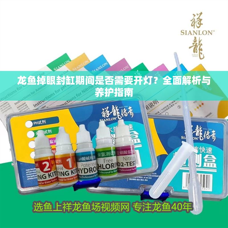 龍魚(yú)掉眼封缸期間是否需要開(kāi)燈？全面解析與養(yǎng)護(hù)指南