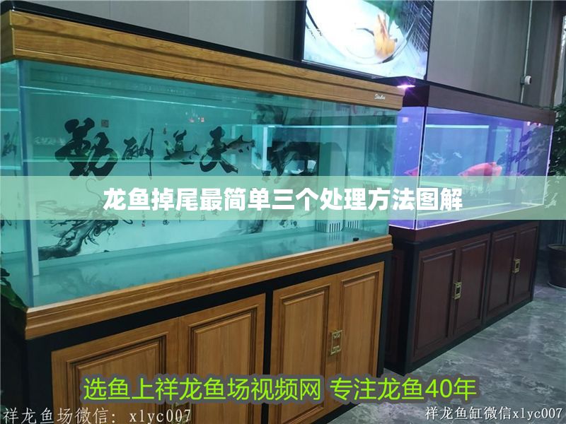 龍魚掉尾最簡單三個處理方法圖解