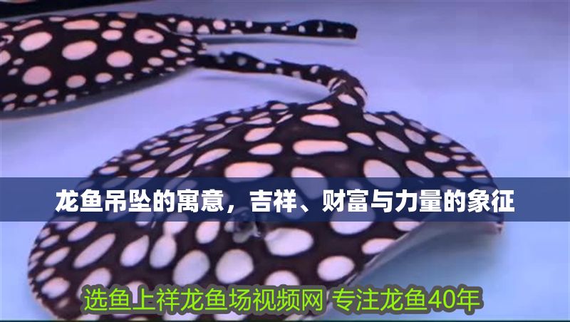 龍魚吊墜的寓意，吉祥、財(cái)富與力量的象征