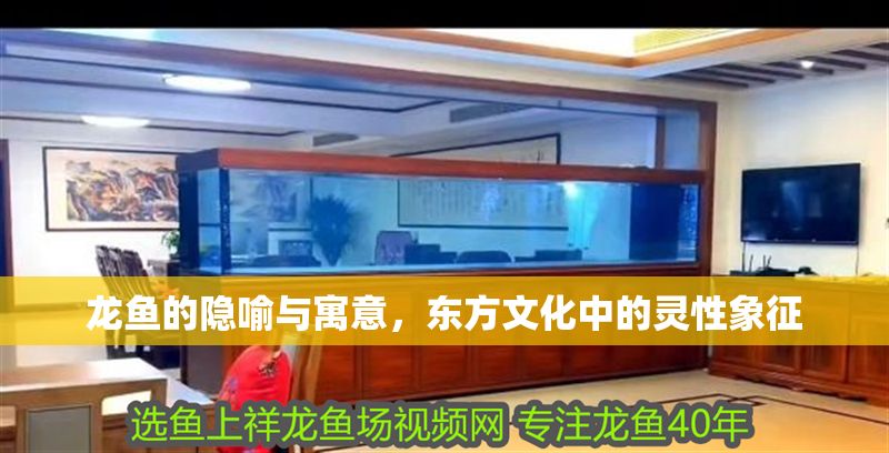 龍魚的隱喻與寓意，東方文化中的靈性象征