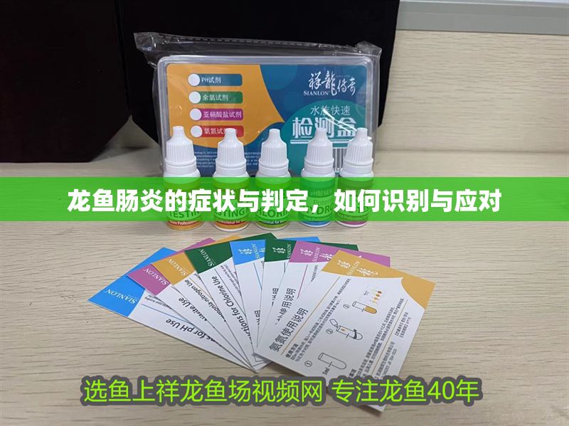 龍魚(yú)腸炎的癥狀與判定，如何識(shí)別與應(yīng)對(duì)
