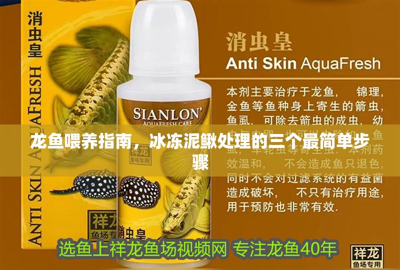 龍魚喂養指南，冰凍泥鰍處理的三個最簡單步驟