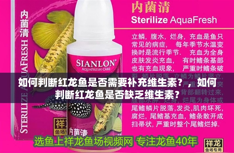 如何判斷紅龍魚是否需要補充維生素？，如何判斷紅龍魚是否缺乏維生素？ 如何判斷紅龍魚是否需要補充維生素？，如何判斷紅龍魚是否缺乏維生素？ 龍魚百科