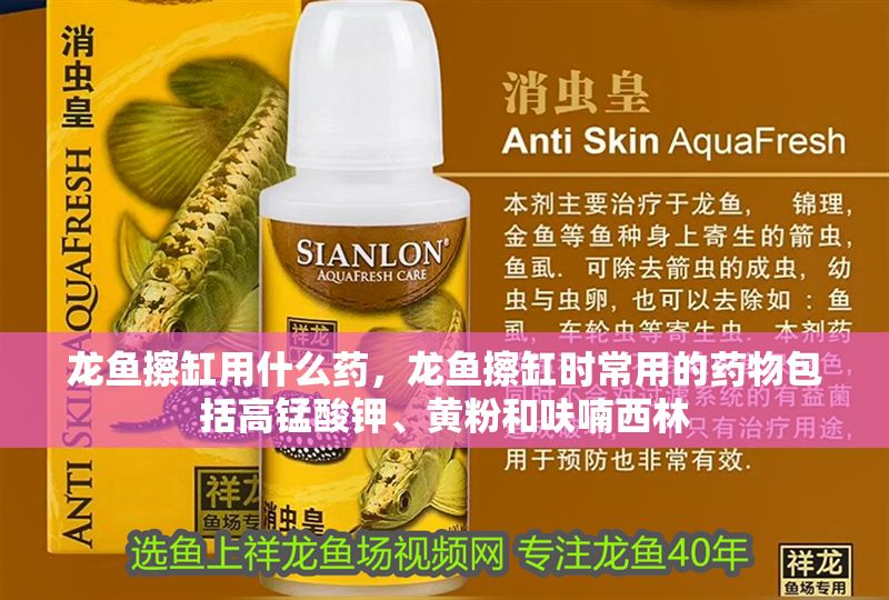 龍魚擦缸用什么藥，龍魚擦缸時常用的藥物包括高錳酸鉀、黃粉和呋喃西林