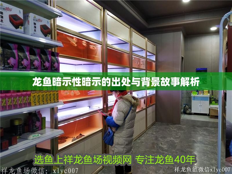 龍魚暗示性暗示的出處與背景故事解析