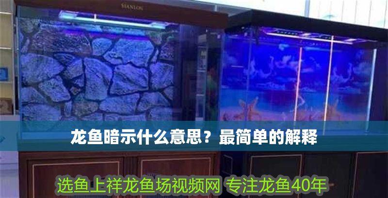 龍魚暗示什么意思？最簡單的解釋
