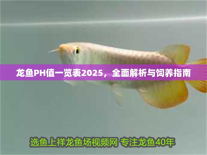 龍魚PH值一覽表2025，全面解析與飼養指南