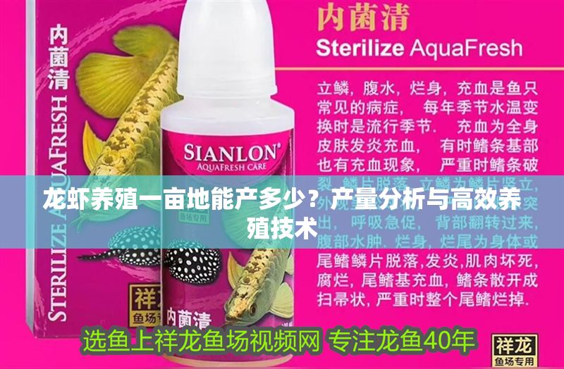 龍蝦養殖一畝地能產多少？產量分析與高效養殖技術 龍蝦養殖一畝地能產多少？產量分析與高效養殖技術 龍魚百科 第1張