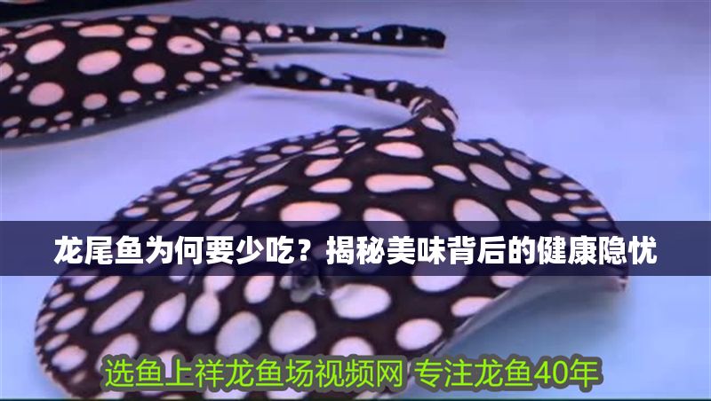龍尾魚(yú)為何要少吃?揭秘美味背后的健康隱憂 龍魚(yú)百科 第1張 龍尾魚(yú)為何要少吃?揭秘美味背后的健康隱憂 龍尾魚(yú)為何要少吃?揭秘美味背后的健康隱憂 龍魚(yú)百科 第1張