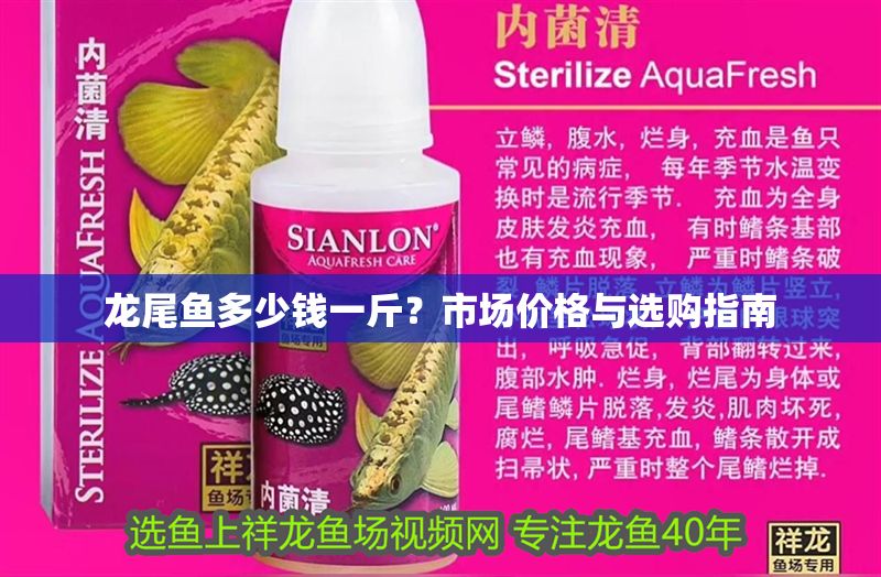 龍尾魚多少錢一斤？市場價格與選購指南