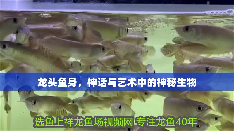 龍頭魚身，神話與藝術中的神秘生物