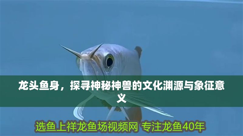 龍頭魚身，探尋神秘神獸的文化淵源與象征意義