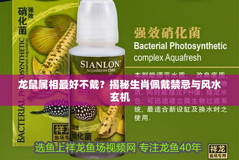 龍鼠屬相最好不戴？揭秘生肖佩戴禁忌與風水玄機