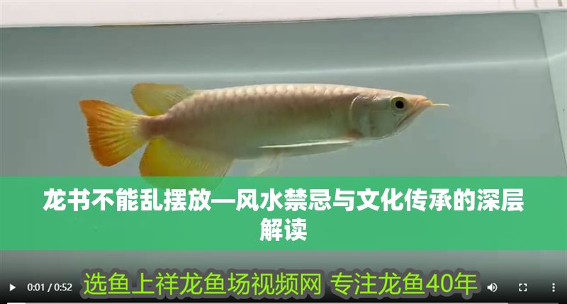 龍書(shū)不能亂擺放—風(fēng)水禁忌與文化傳承的深層解讀