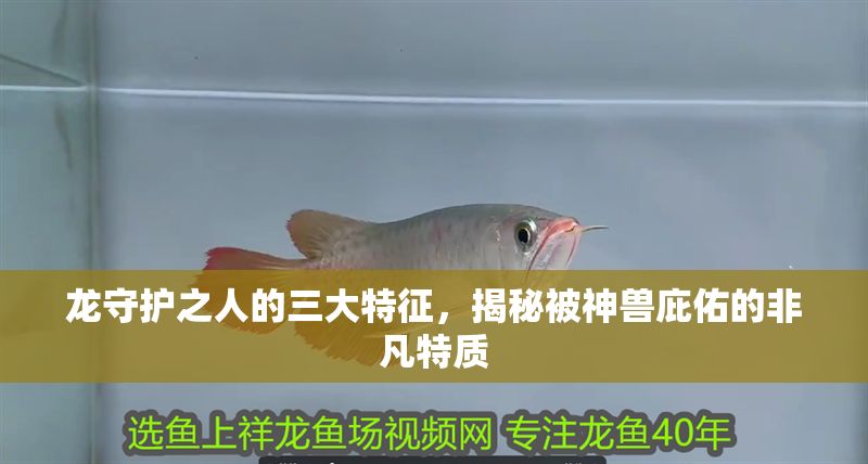 龍守護之人的三大特征，揭秘被神獸庇佑的非凡特質