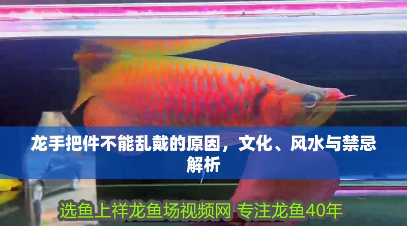龍手把件不能亂戴的原因,文化、風(fēng)水與禁忌解析