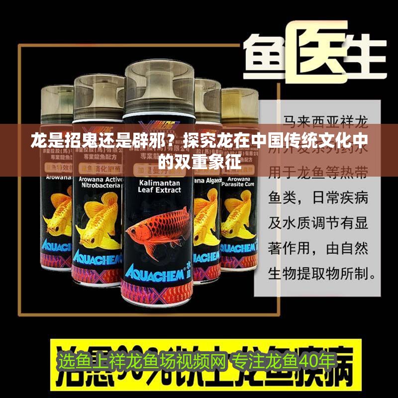 龍是招鬼還是辟邪?探究龍在中國傳統文化中的雙重象征