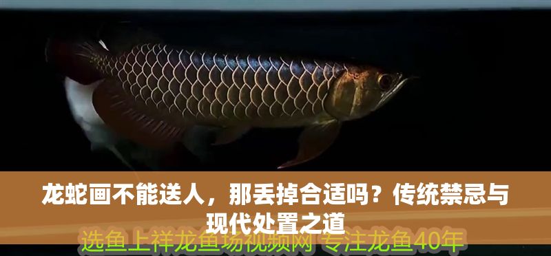 龍蛇畫不能送人，那丟掉合適嗎？傳統禁忌與現代處置之道 龍蛇畫不能送人，那丟掉合適嗎？傳統禁忌與現代處置之道 龍魚百科 第1張
