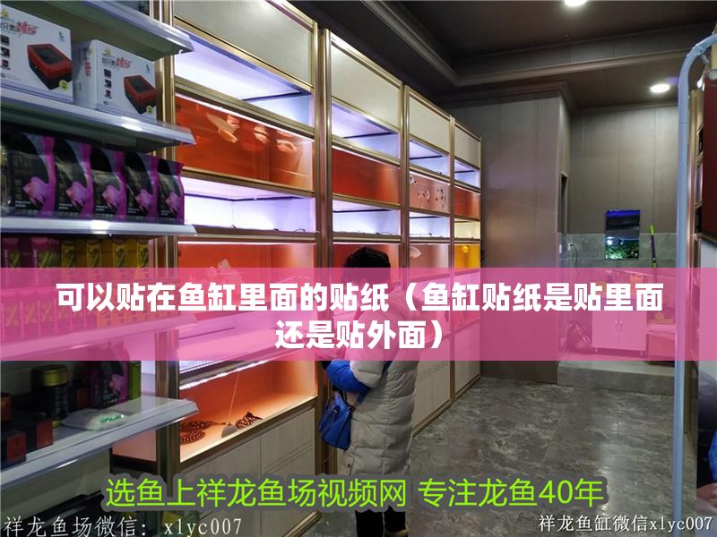 可以貼在魚(yú)缸里面的貼紙（魚(yú)缸貼紙是貼里面還是貼外面）