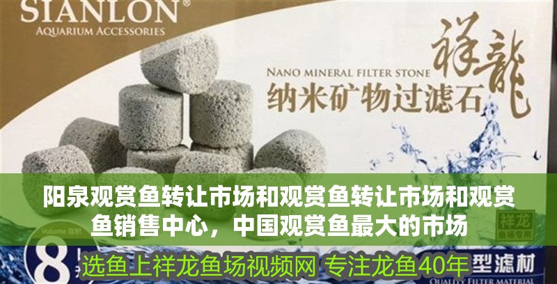 陽(yáng)泉觀賞魚轉(zhuǎn)讓市場(chǎng)和觀賞魚轉(zhuǎn)讓市場(chǎng)和觀賞魚銷售中心，中國(guó)觀賞魚最大的市場(chǎng)