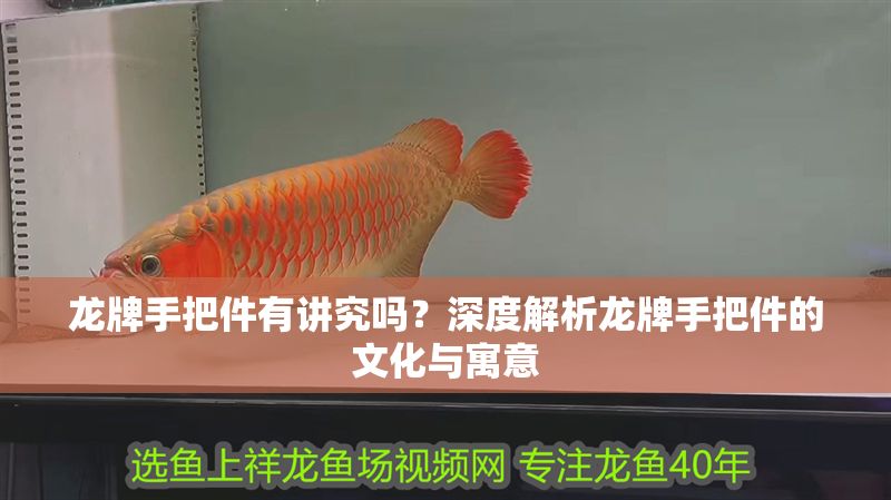 龍牌手把件有講究嗎？深度解析龍牌手把件的文化與寓意