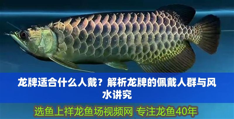 龍牌適合什么人戴？解析龍牌的佩戴人群與風水講究