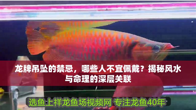 龍牌吊墜的禁忌，哪些人不宜佩戴？揭秘風水與命理的深層關聯