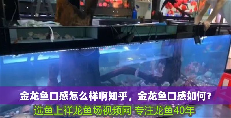 金龍魚口感怎么樣啊知乎，金龍魚口感如何？