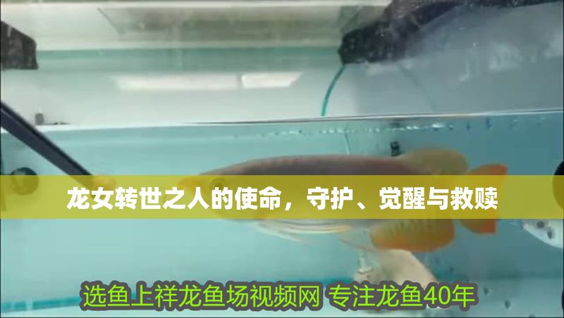 龍女轉(zhuǎn)世之人的使命，守護(hù)、覺醒與救贖
