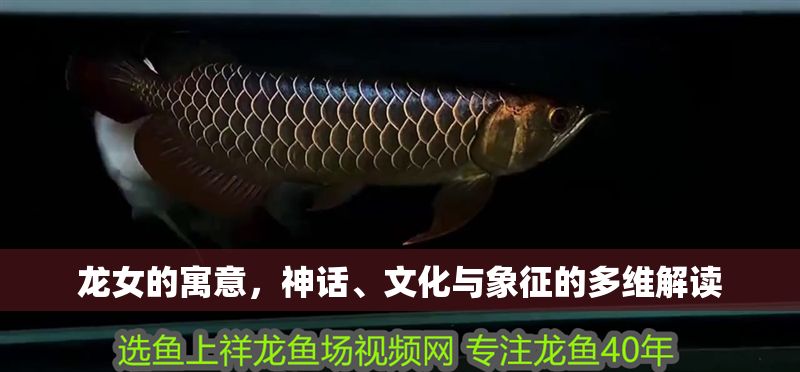 龍女的寓意，神話、文化與象征的多維解讀