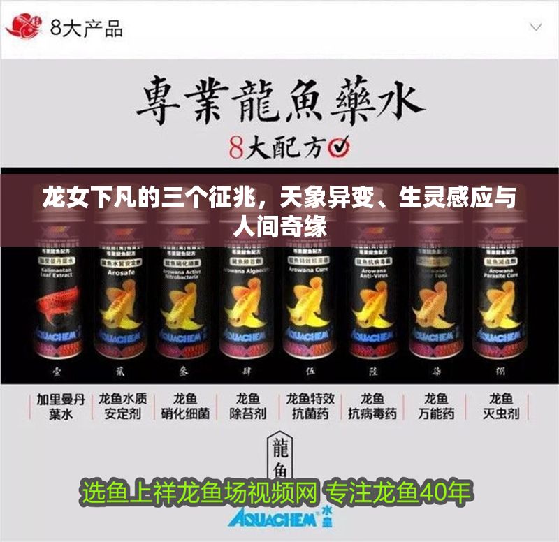 龍女下凡的三個征兆，天象異變、生靈感應與人間奇緣