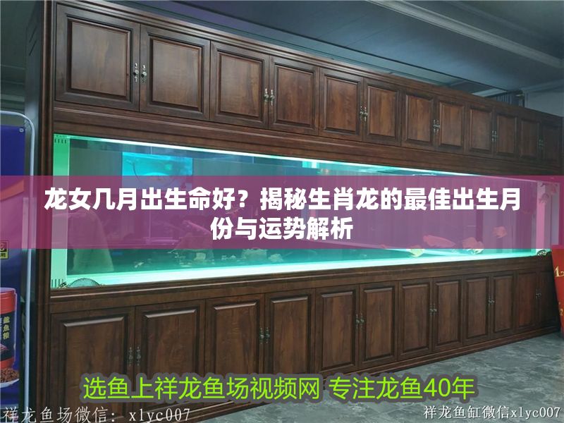龍女幾月出生命好？揭秘生肖龍的最佳出生月份與運勢解析