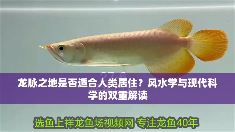 龍脈之地是否適合人類居住？風(fēng)水學(xué)與現(xiàn)代科學(xué)的雙重解讀 龍脈之地是否適合人類居住？風(fēng)水學(xué)與現(xiàn)代科學(xué)的雙重解讀 龍魚百科 第1張