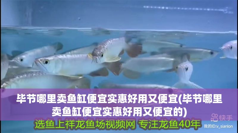 畢節哪里賣魚缸便宜實惠好用又便宜(畢節哪里賣魚缸便宜實惠好用又便宜的)