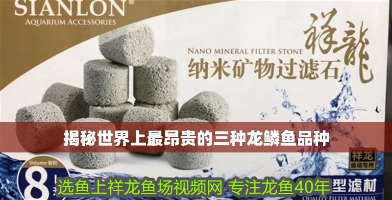 揭秘世界上最昂貴的三種龍鱗魚品種