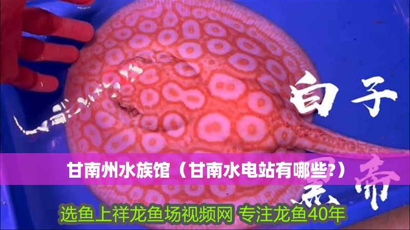 甘南州水族館（甘南水電站有哪些?）