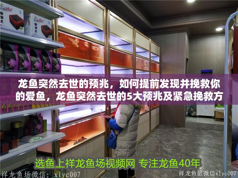 龍魚突然去世的預(yù)兆，如何提前發(fā)現(xiàn)并挽救你的愛魚，龍魚突然去世的5大預(yù)兆及緊急挽救方法，龍魚突然去世的5大預(yù)兆及緊急挽救方法 龍魚突然去世的預(yù)兆，如何提前發(fā)現(xiàn)并挽救你的愛魚，龍魚突然去世的5大預(yù)兆及緊急挽救方法，龍魚突然去世的5大預(yù)兆及緊急挽救方法 龍魚百科 第1張