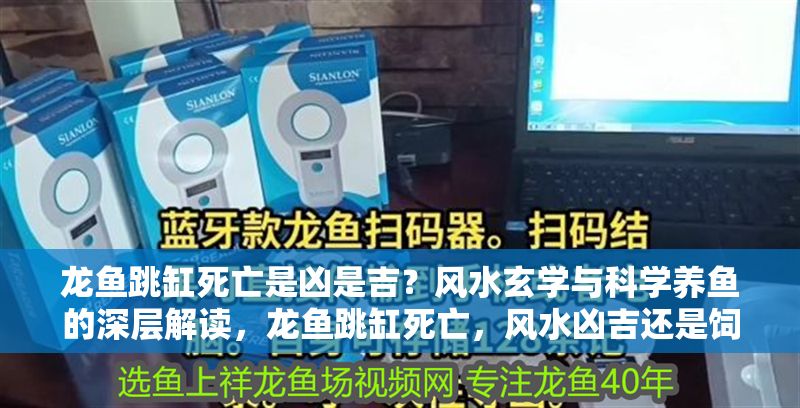 龍魚跳缸死亡是兇是吉？風水玄學與科學養魚的深層解讀，龍魚跳缸死亡，風水兇吉還是飼養疏漏？科學與玄學的雙重解析，龍魚跳缸死亡，風水兇兆還是飼養失誤？科學與玄學的深度剖析