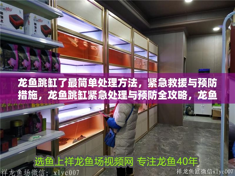 龍魚跳缸了最簡單處理方法，緊急救援與預防措施，龍魚跳缸緊急處理與預防全攻略，龍魚跳缸緊急處理與預防全攻略